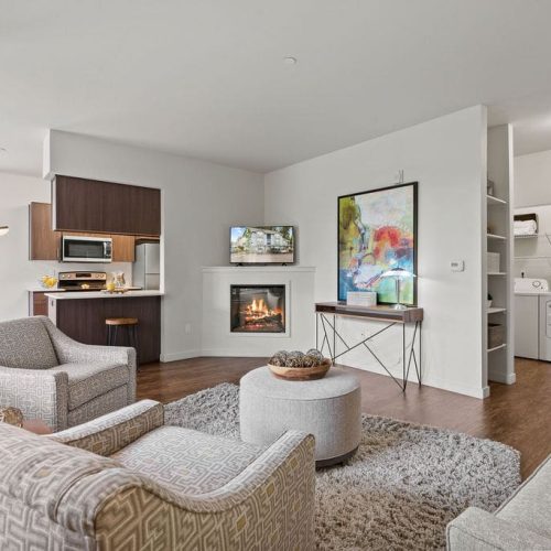 Modern living room with two patterned armchairs, a round ottoman, TV above a fireplace, open kitchen area, artwork on the wall, and a laundry nook with washer and dryer.